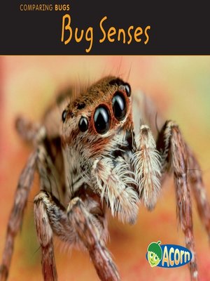 cover image of Bug Senses